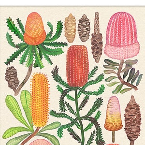 Banksias Collection I