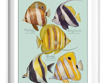 Barrier Reef Fish Print, Australian Marine Life, Coastal Art
