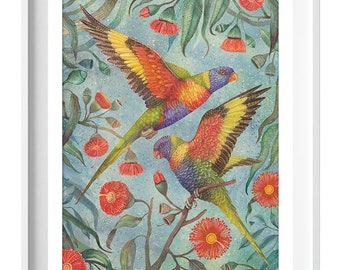 Rainbow Lorikeet Watercolor Art Print: Australian Parrot Illustration