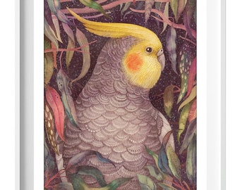 Puede incluir: Una impresión en acuarela enmarcada que presenta una ilustración detallada de una cacatúa. El ave tiene una cresta y mejillas amarillas, con plumaje gris y blanco. El fondo incluye follaje verde y rojo, con el texto "Wild Garden".