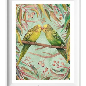 Budgies, Budgerigar, Botanical Wall Art, Nature Wall Art, Wall Decor, Vintage Bird Print, Parrot Wall Art, Australian Cockatoo