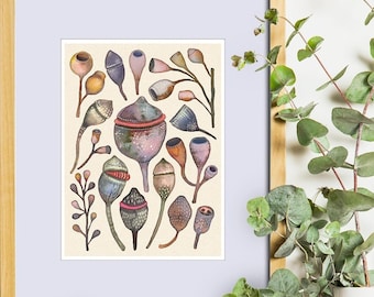 Australian Gumnuts Watercolor Art Print: Native Flora Wall Decor