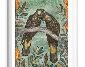Yellow-tailed Black Cockatoos, Tropical Wall Decor, Vintage Bird Prints, Parrot Wall Art, Australian Cockatoo