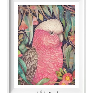 Galah, Pink cockatoo, Galah cockatoo, Cockatoo print, Native Australian Bird, Tropical Wall Decor, Vintage Bird Print, Australian Cockatoo