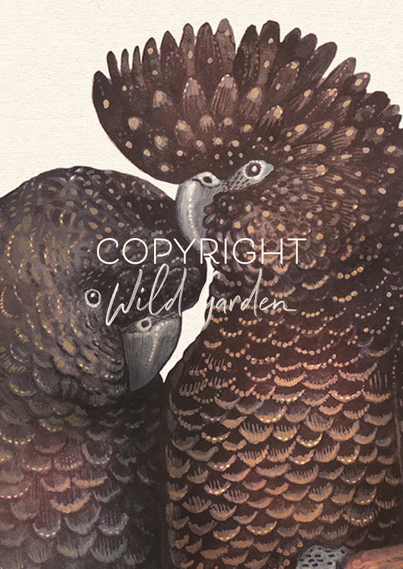 May include: Close-up of a watercolor painting featuring two black cockatoos. The birds have detailed feather patterns in shades of brown and gold. The text "COPYRIGHT Wild garden" is overlaid on the image.