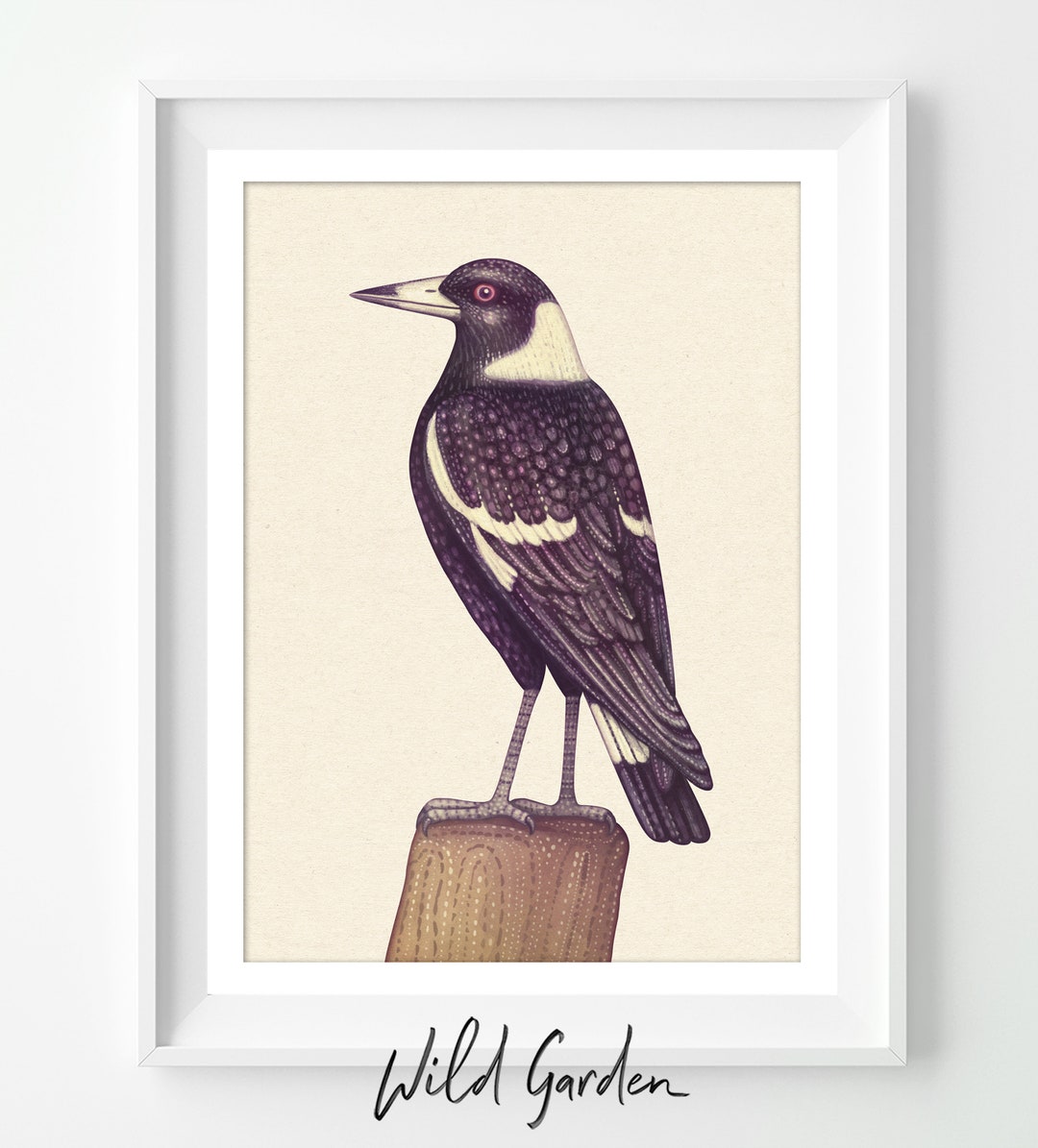 Australian Magpie - Art Print, Wall Decor, Wall Art - Etsy