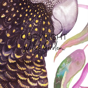 May include: Watercolor painting of a black cockatoo with yellow accents on its feathers, a white beak, and a detailed eye. The artwork includes the text "COPYRIGHT Wild Garden" and colorful leaves.