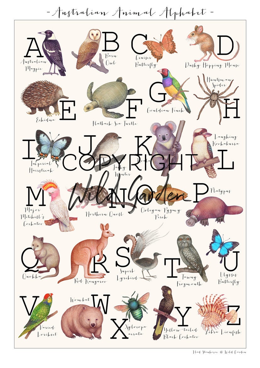 Australian Animal Alphabet - Etsy