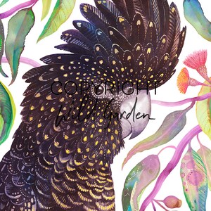 May include: Watercolor illustration of a black cockatoo with yellow accents, surrounded by eucalyptus leaves and pink flowers. The image has the text "COPYRIGHT Wild Garden". The artwork is on a white background.