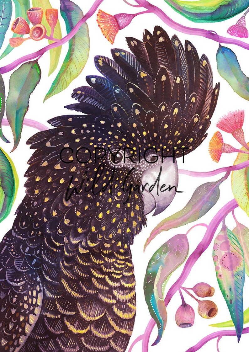 May include: Watercolor illustration of a black cockatoo with yellow accents, surrounded by eucalyptus leaves and pink flowers. The image has the text "COPYRIGHT Wild Garden". The artwork is on a white background.