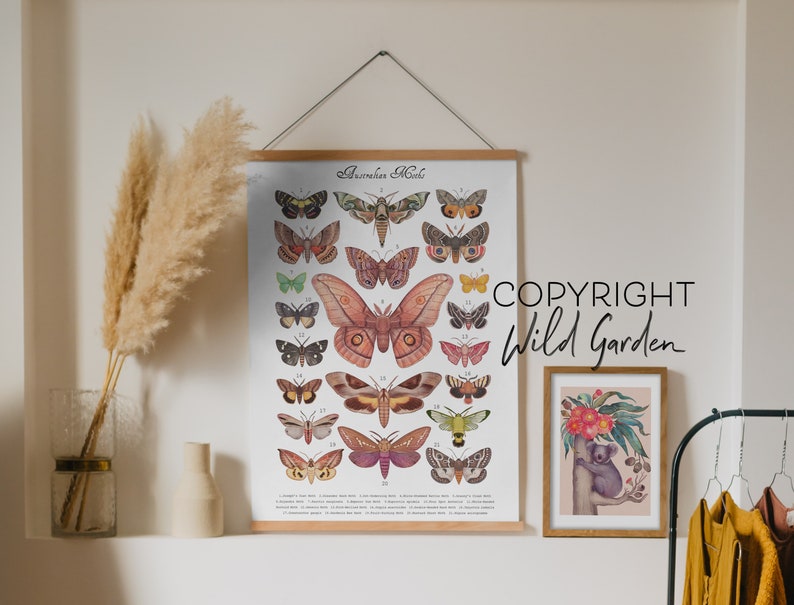 Australian Moths - Art Print, Poster, Wall Decor - Etsy Australia