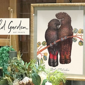 May include: Framed art print featuring two black cockatoos perched on a branch with green and yellow leaves. The print is in a natural wood frame and includes the text "Wild Garden Art Prints".