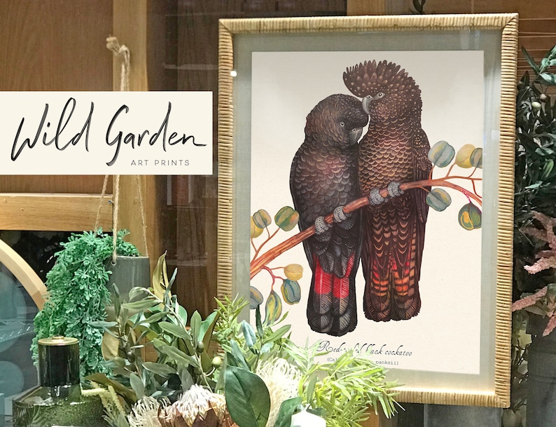 May include: Framed art print featuring two black cockatoos perched on a branch with green and yellow leaves. The print is in a natural wood frame and includes the text "Wild Garden Art Prints".