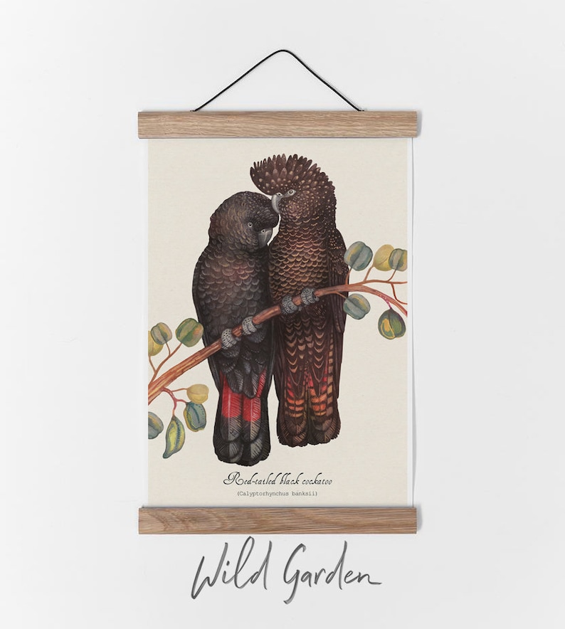 May include: A framed print featuring two Red-tailed Black Cockatoos perched on a branch with green leaves. The birds have black and red plumage. The print is held by wooden bars and a black string. The words "Wild Garden" are written at the bottom.