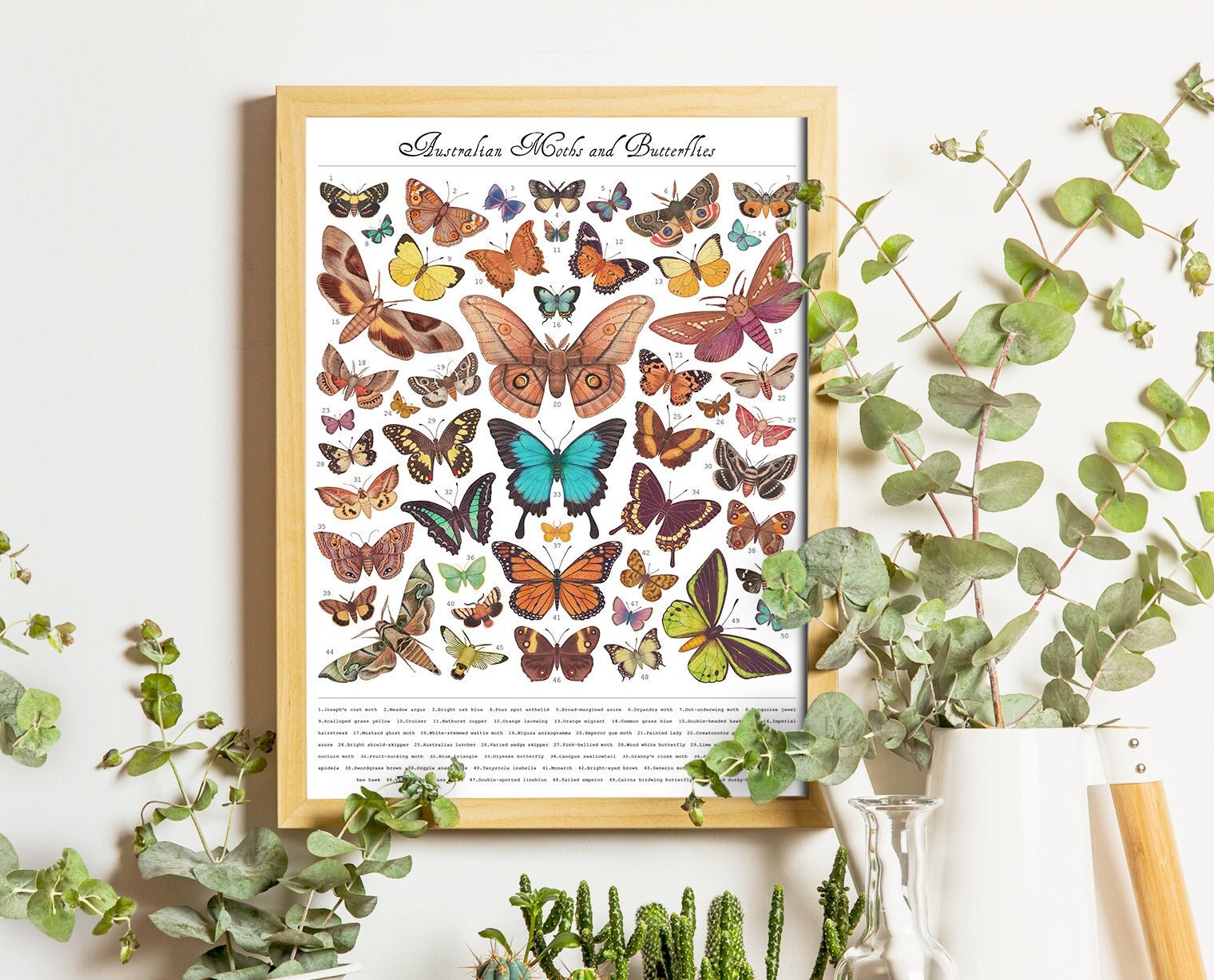 Australian Moths and Butterflies - Art Print, Poster, Wall Decor - Etsy