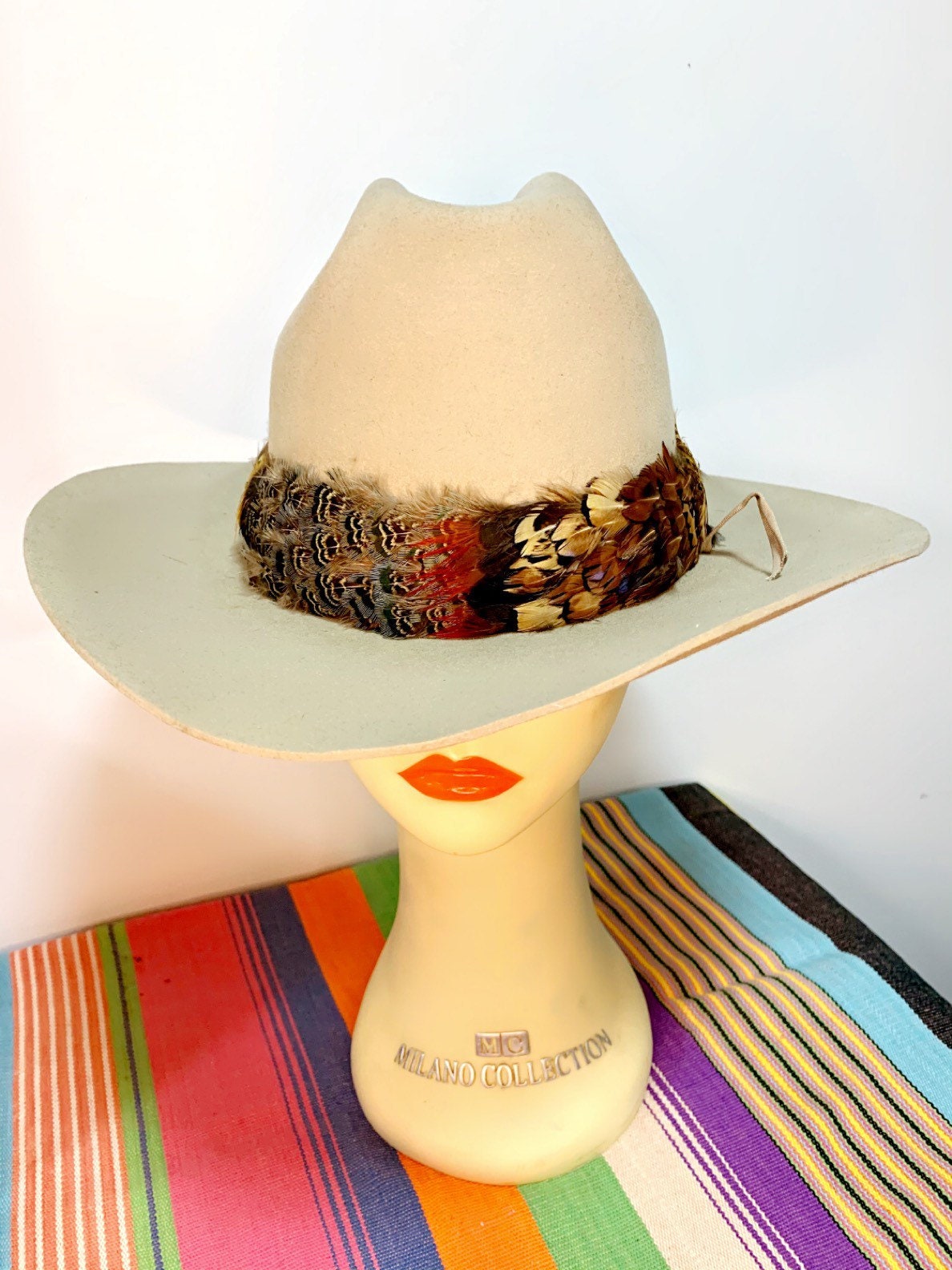 Vintage Stetson Hat