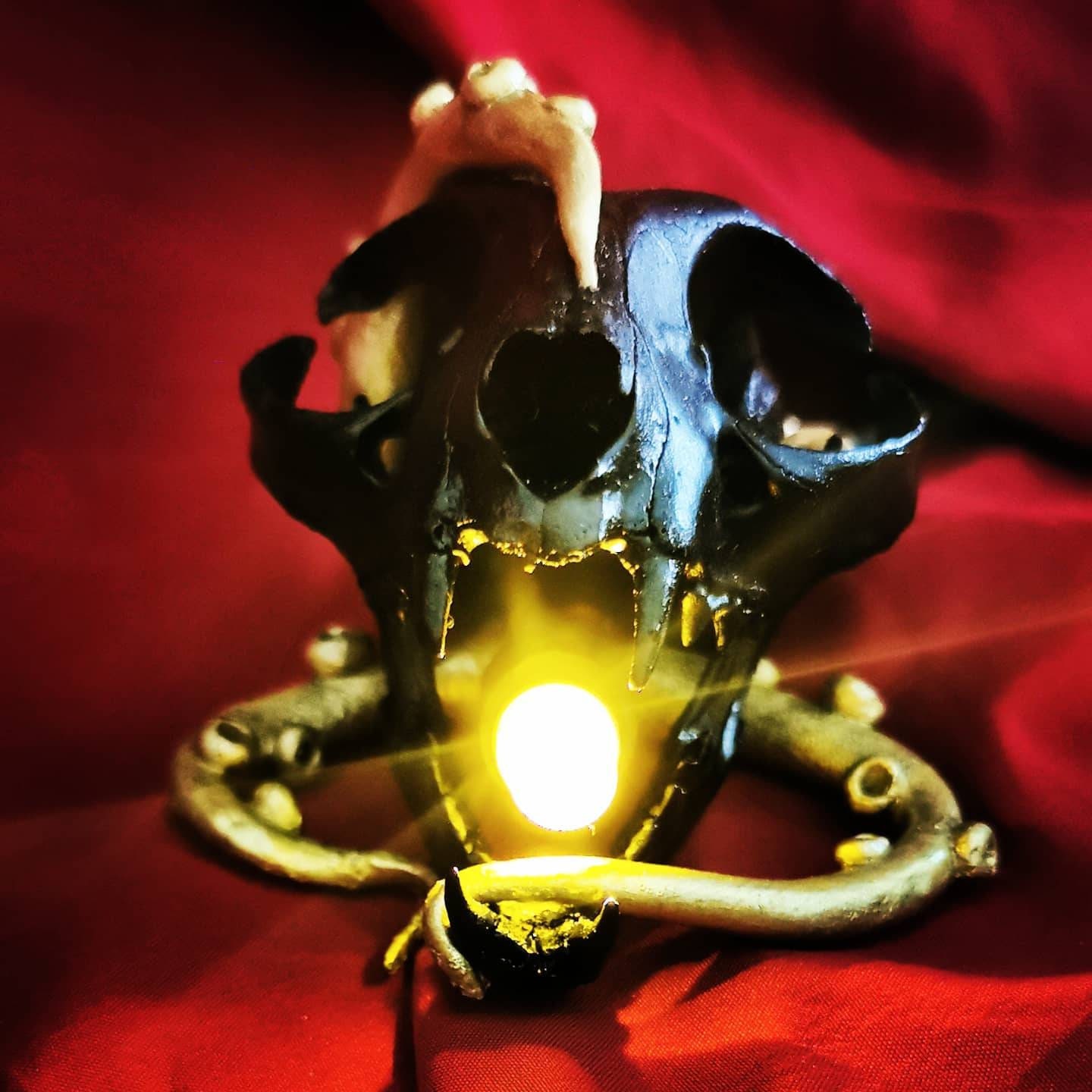 Crâne de Chat - Cat Octopus Light Lamp Lampe Skull
