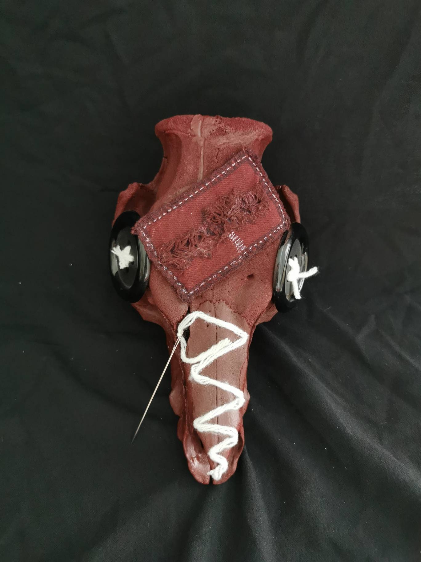 Crâne Porc - Skull Pork