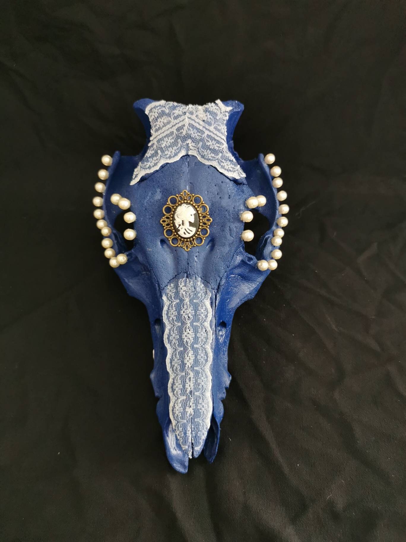 Crâne Porc - Skull Pork