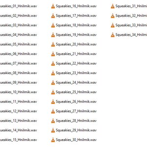 K&ouml;nnte beinhalten: Ein Screenshot eines Computerordners mit 34 Audiodateien, die von "Squeakies_01_Hnilmik.wav" bis "Squeakies_34_Hnilmik.wav" benannt sind.