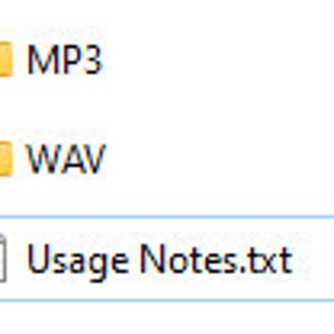 K&ouml;nnte beinhalten: Ein Ordner mit der Bezeichnung "MP3", ein Ordner mit der Bezeichnung "WAV" und eine Textdatei mit der Bezeichnung "Gebrauchsanweisung.txt" auf einem Computerbildschirm.
