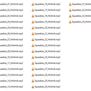 K&ouml;nnte beinhalten: Ein Screenshot eines Computerordners mit 34 Audiodateien, die von "Squeakies_01_Hnilmik.mp3" bis "Squeakies_34_Hnilmik.mp3" benannt sind.