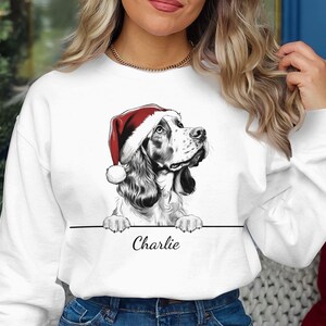 Gepersonaliseerde Welsh Springer-spaniël hond naam kersttrui kersttrui aangepaste hond kersttrui cadeau kerst hondentrui