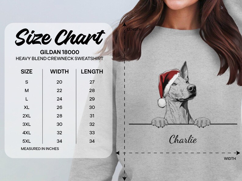 Personalized Pharaoh Hound Dog Name Xmas Sweatshirt Christmas Sweater