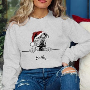 Gepersonaliseerde Amerikaanse bullebak hondennaam kersttrui kersttrui aangepaste koosnaam vakantie hoodie schattige kerstmuts hondenliefhebber cadeau