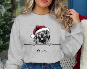 Sweat-shirt De Noël "Merry Woofmas" Pour Femme - Motif Chien Et Camion - Coupes Classiques Et Chaudes