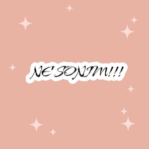Ne Sonim Hyunjin Stray Kids Sticker Kpop vinyle mat et vinyle laminé découpé avec facile à retirer