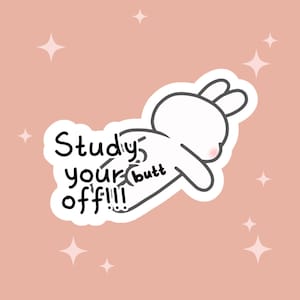 Studieren Sie Ihren Butt Off Leebit SKZoo Lee Weiß Stray Kids Aufkleber Kpop Matte Vinyl und laminiertes Vinyl sterben Schnitt mit einfachen Abziehen
