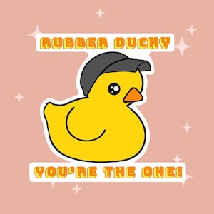 Stray Kids Bang Chan Rubber Ducky / Sticker / Kpop / Paper, Matte Vinyl and Laminated Vinyl / Die Cut with Easy Peel Off