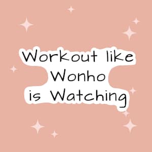 Pegatina motivacional Wonho / Kpop / Vinilo mate y vinilo laminado / Troquelado con fácil despegar