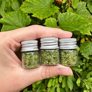 Peridot Chip Bottle | Peridot Chips | Peridot