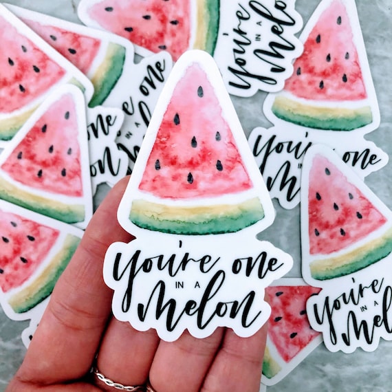 One in a Melon Sticker Summer Melon Sticker Punny Gifts Etsy