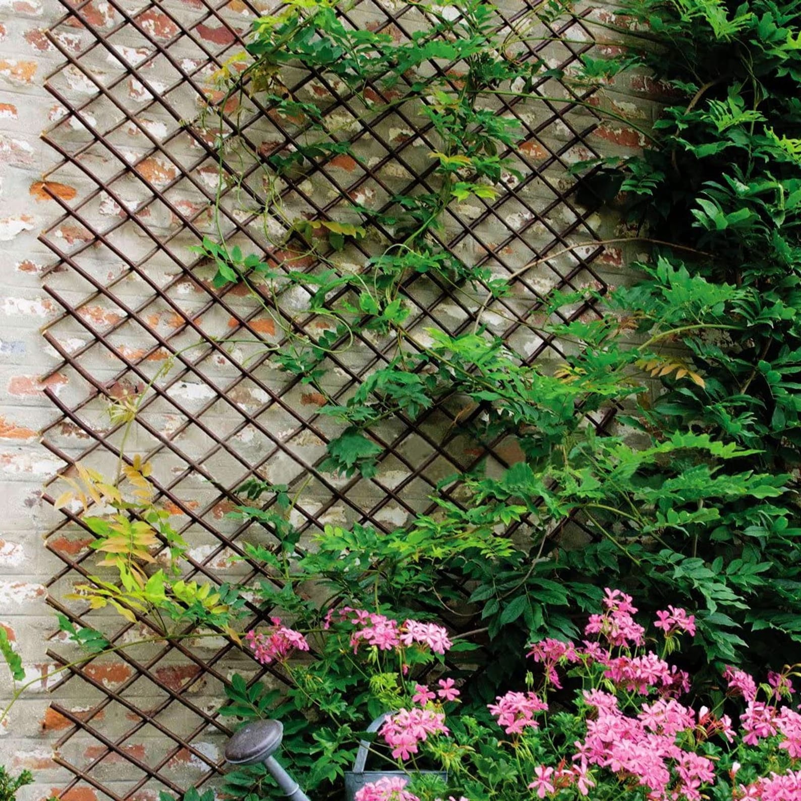 Plant Trellis Expandable Trellis Fence Panel Willow Lattice Etsy