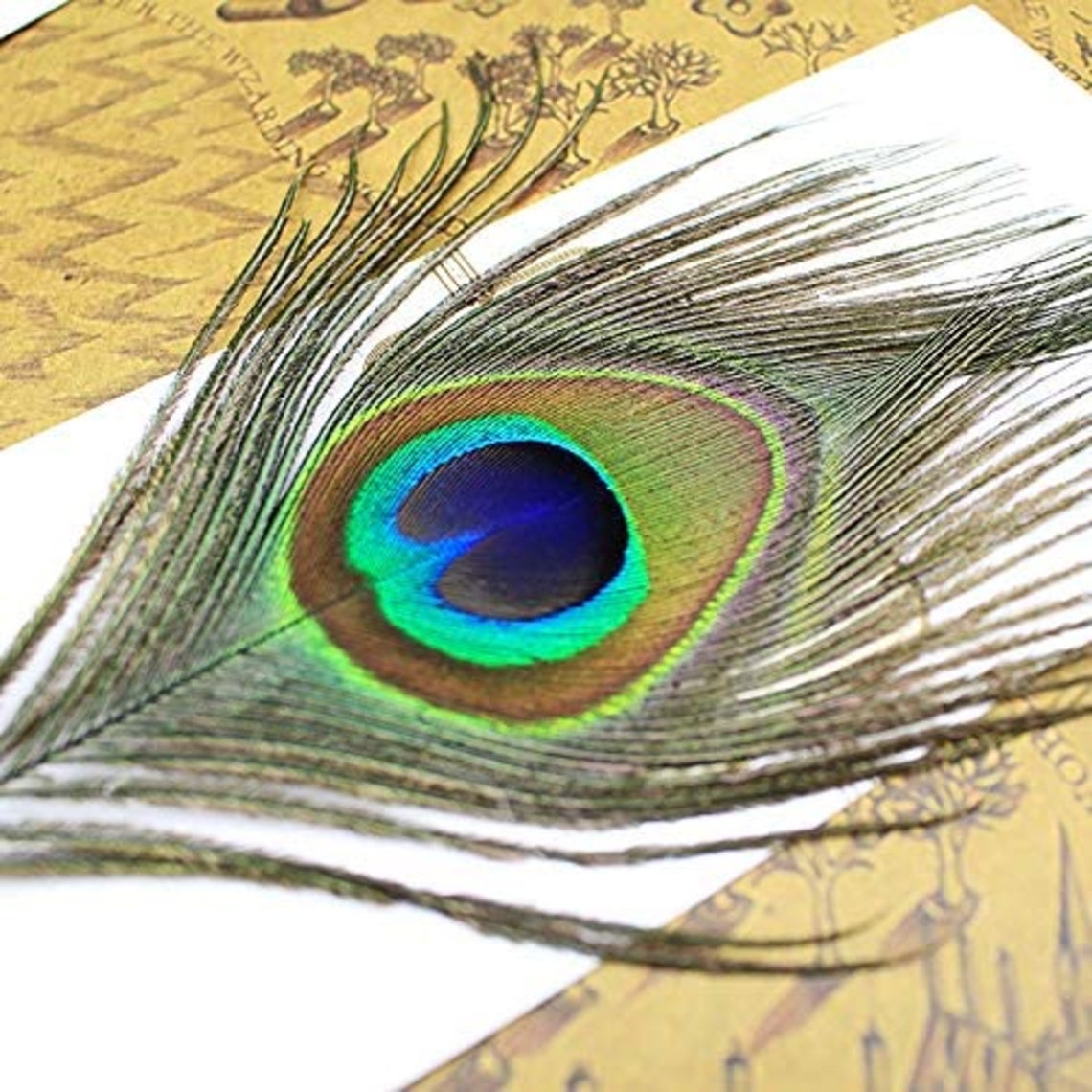 Vintage Peacock Feather Pen Set Antique Calligraphy Writing Etsy