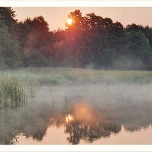 Tarjeta "Luz de la mañana en el lago"