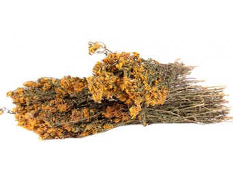 Johanniskraut-Teestrauß (Hypericum perforatum) 100% Bio, Mediterrane Qualität, Blume, Blätter, Naturkraut, Wild