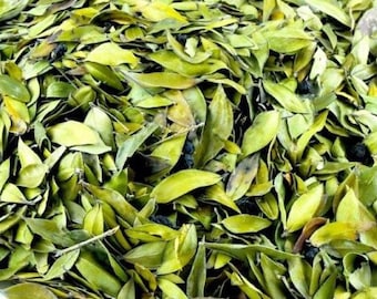 Premium Quality Myrtle Dried Leaves, Organic Myrtus Communis 70g-400g, Herbal Tea, Superior Quality, Mediterranean, Myrtle Plant Dried