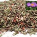 see more listings in the Dried Herbs section