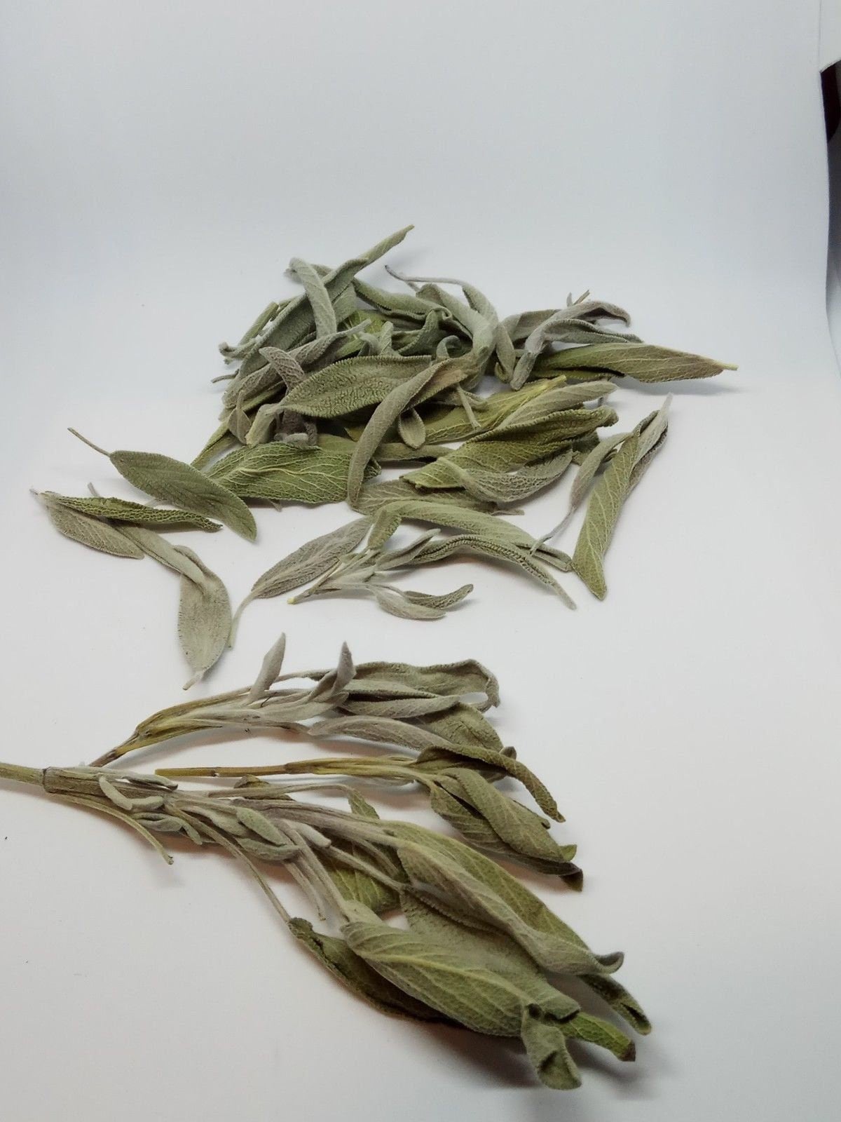 Salie (70gr+) Premium Kwaliteit Blad, Gedroogde Baai, Mediterraan, Salvia officinalis, wild, Biologisch, gedroogde thee, natuurlijk kruid, Superieur, Sterk