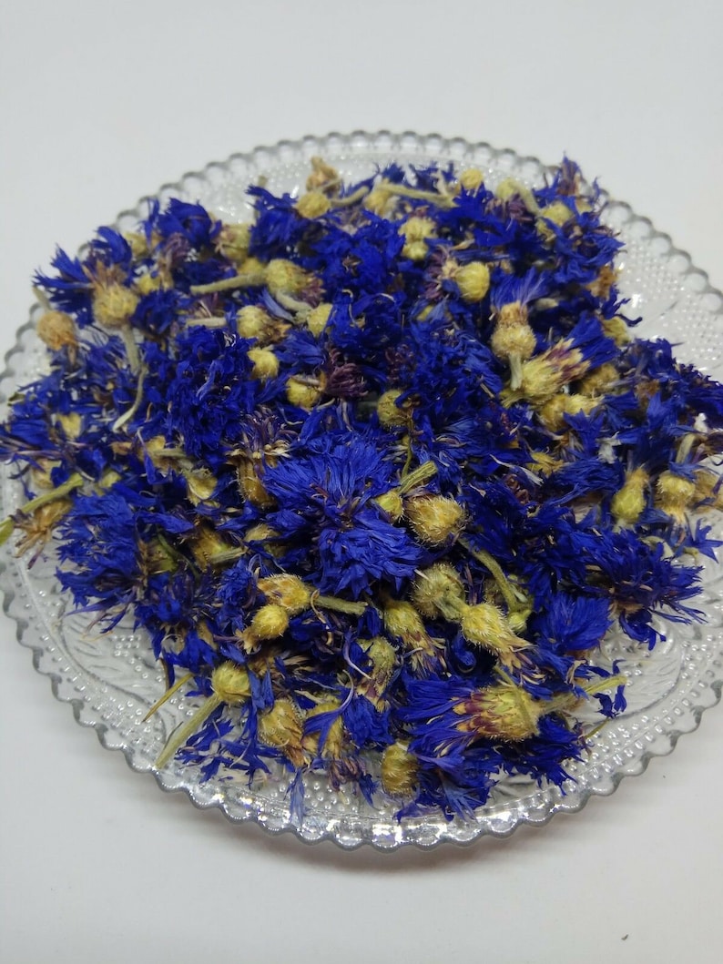 KORNBLUME 100gCentaurea Cyanus L., Flower (bluten - Foto 12