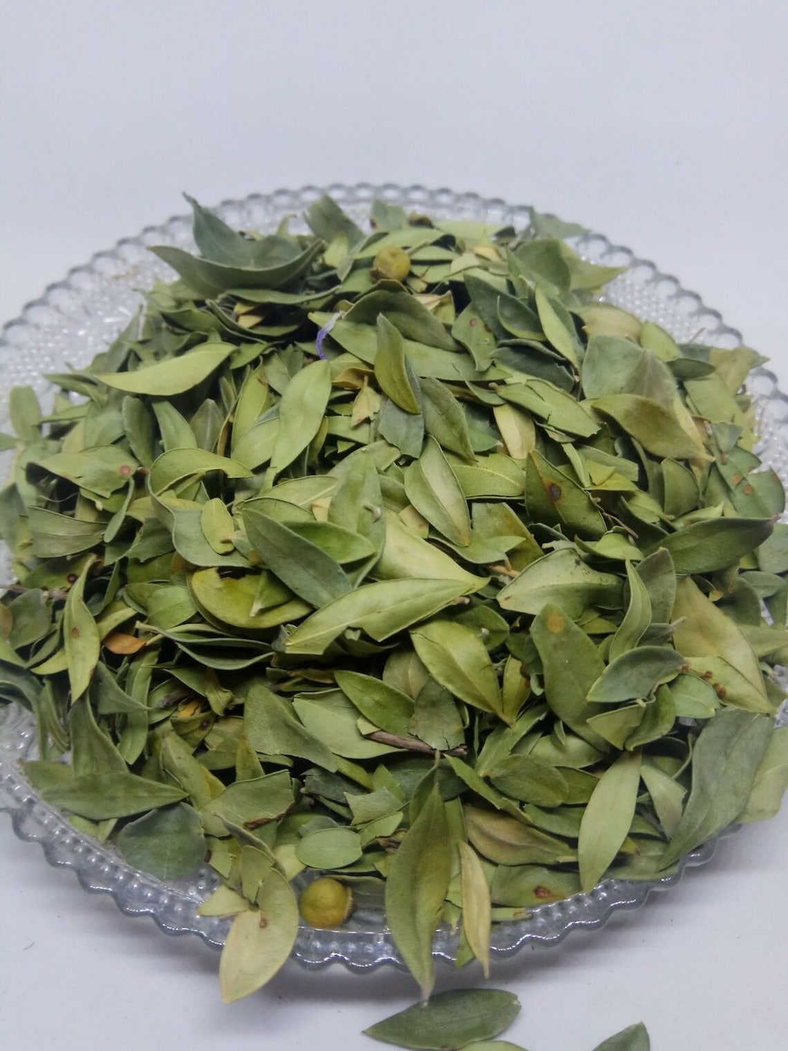 Premium Quality Myrtle Dried Leaves Organic Myrtus Communis Etsy