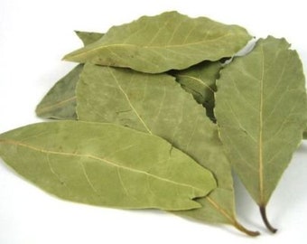 Lorbeer Lorbeerblatt, europäisch, überlegene Qualität, Bio getrocknetes Laurus Nobilis, Lauraceae, Teeblätter, Küche, Küche, Gericht Aroma & Geschmack