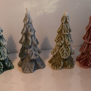 green, red, snow-covered fir trees