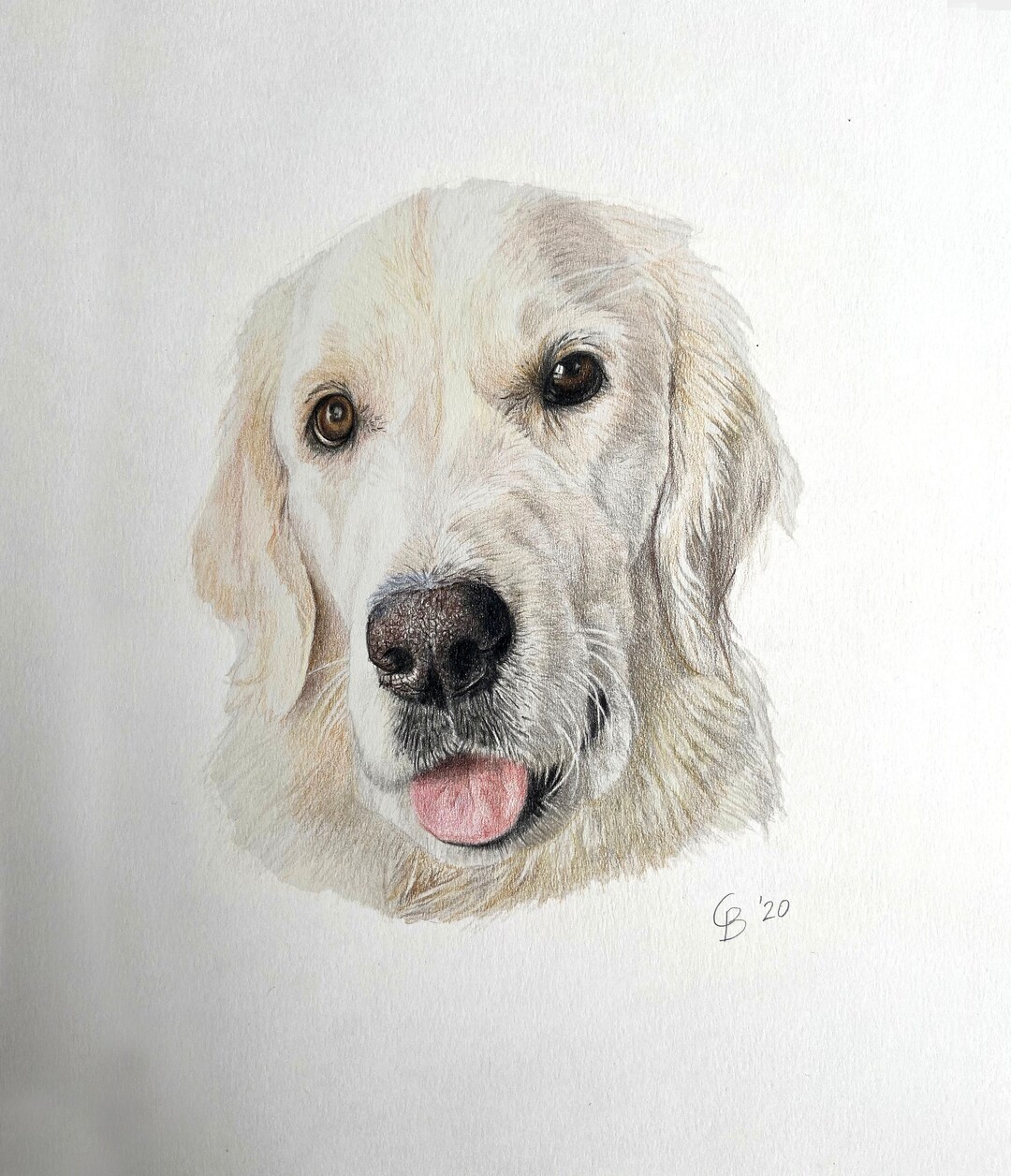 Custom Hand Drawn Colour Pet Portrait | Animal Portraits | Personalised ...