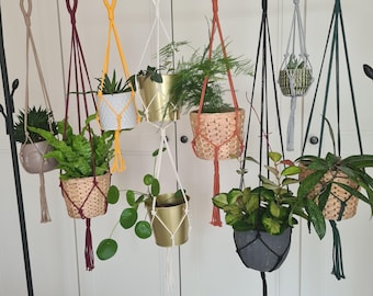 Macramé flower basket, plant hanger, hanging planter, plant hanger, red, green, yellow, orange, simple, window decoration, black