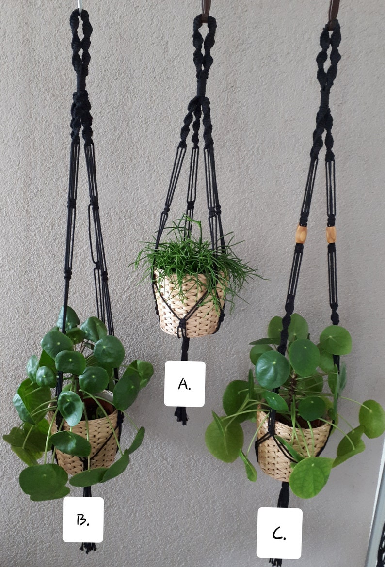 May include: Three black macrame plant hangers with wooden beads. Each hanger holds a potted plant. The plants are labeled A, B, and C.